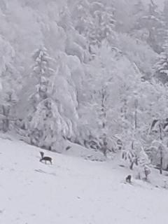 Aparthotel Panorama-Czarna Góra Resort - 7