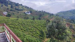 Sandy 4 Bhk Homestay - Only Adults Allowed - Ooty - 8