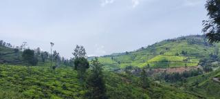 Sandy 4 Bhk Homestay - Only Adults Allowed - 6