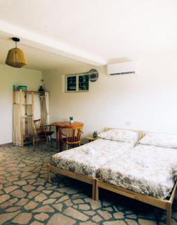 Suite Tangerine Studio - Rogotin - 0