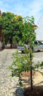 Apartamento três quartos C Praia Atalaia - 8