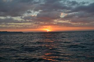 Patronis Studios - 3