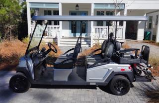 Blue Harmony - Santa Rosa Beach - 8