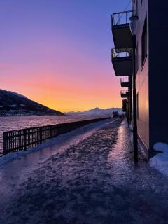 Leilighet til utleie - 6