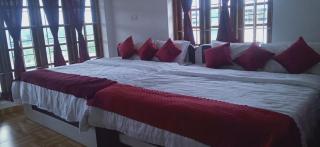 Joy Green Valley Villa 2 bhk - Ooty - 4