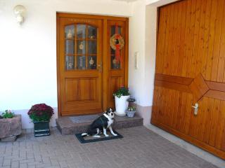 Farmhouse in Hofstetten near Black Forest Trails - Hofstetten - 1
