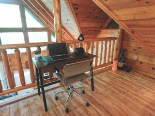 Forest Cabin with HotTub, WorkSpace, WiFi & Gym gear - 1
