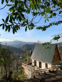 Pukina Tiny House - Cayeli - 9
