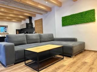 AlpLoft Apartment Top2 - 4