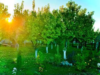 DomDavida - Abovyan - 4