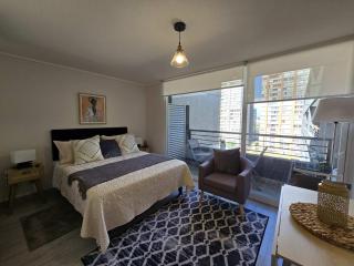 HOM I Comodo depto Studio 2PAX Santiago - Santiago - 9