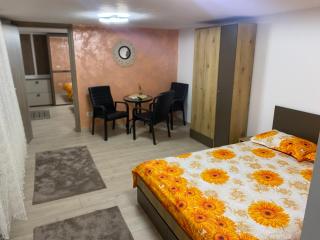 Casa Rustica - Borşa - 7