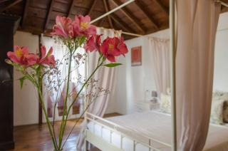 Hotel rural casona Santo Domingo - Güímar - 8