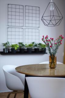 Flora Apartment Poznań - MTP & Park Wilsona - 7