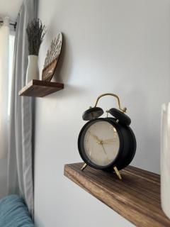 Bright and Spacious Apartment in Plateau - 4