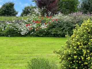 Granary Cottage - Saint Twynnells - 1