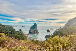 The Magical Forested Sea Cove - Carpenterville - 7