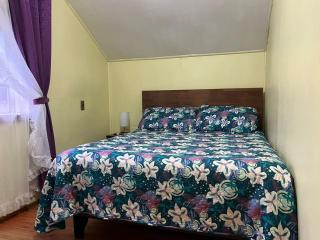 Cabaña Pangue Hornopirén - 3