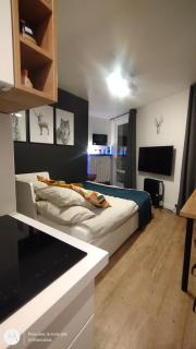 le Ty Cosy Montagnard la Mongie - 8