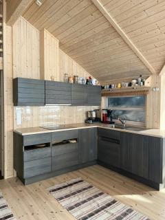Modern Ål Cabin At The Foot Of Reinskarvet - Ål - 7