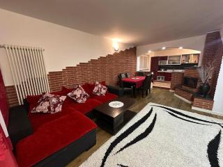 Alex House - Borsa - 1