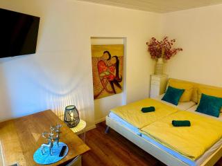 Apartment 1 - Gottmadingen - 1