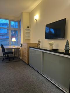 Fabulous Garden Flat near Kings Cross St Pancras - 2