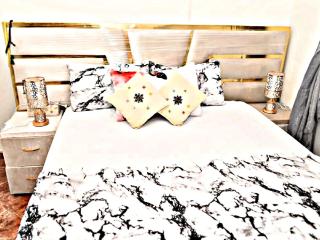 Luxury 3-bedroom apartments 5-min to the Airport - 9