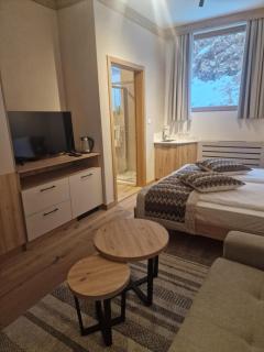 Private Apartment D036 NEW Aparthotel Vucko Jahorina - 8