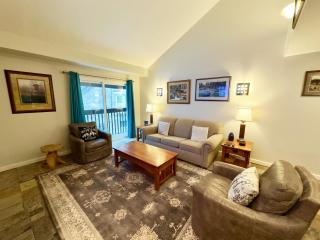 310 Snowblaze condo - 9