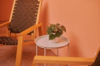 Suite Amarillo Diseno ubicacion terraza y AC - Oaxaca de Juárez - 1