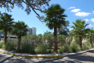 Legacy Villa 304 - Gulfport - 9