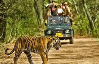 Garden Villa Homestay ! Dandeli Ramnagar ! Eco Friendly Villa - Londa - 4