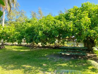 FARE TEHAKI - Island spirit - Moorea - 3
