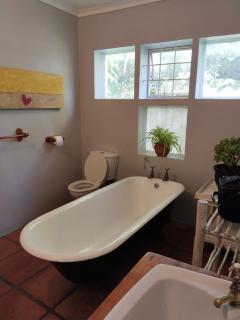 Restful Tree House in Little Mowbray - Cape Town - 4