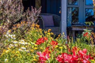 An Escape for the Senses - - 7