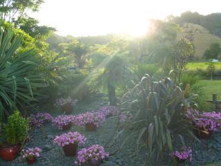 At Parkland Place B&B - Whitianga - 6