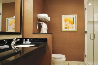 Fairfield Inn & Suites by Marriott Springfield Northampton/Amherst - Northampton - 5
