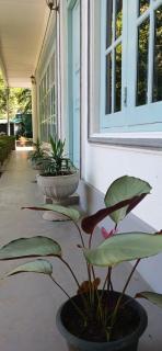 Villa Peace Heaven - 9