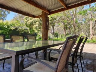 Koalas Songs - Raymond Island - 7