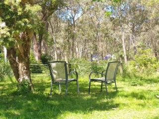 Koalas Songs - Raymond Island - 6