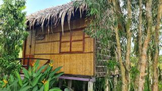 Việt Mekong Farmstay - Tràm Chim - 3