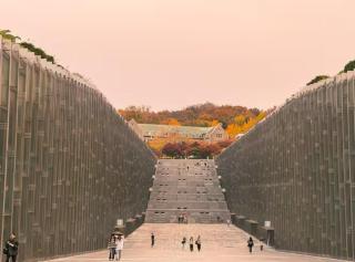 Seoul Allie House in Sinchon - Seul - 2