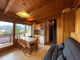 Appartement cosy 1 chambre avec balcons, proche pistes, parking inclus - FR-1-733-162 - Crest-Voland - 0