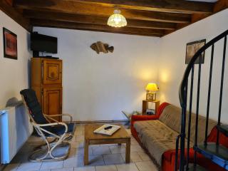 Gîte calme avec jardin privé près forêt & Loire - FR-1-590-533 - 9