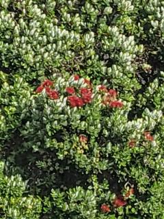 Beachfront Beauty - Whangaparaoa - 6
