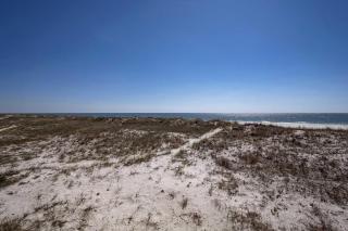 Sandy Castle Beach Home - Gulf Shores - 5