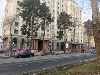 Royal apartment 1 - Dushanbe - 8