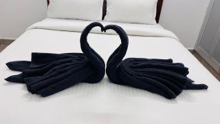 THE ELEGANT VILLA WITH KITCHEN, Opp to Mangrove Boating - JR Groups - 2