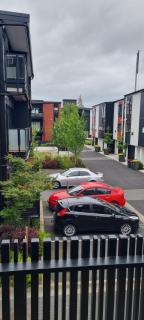 CBD Apartment - Hamilton - 9